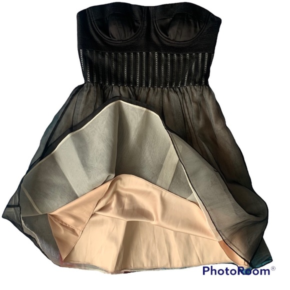 Vera Wang Lavender Label Silk Blend Strapless Corset Mini Dress - Picture 4 of 16